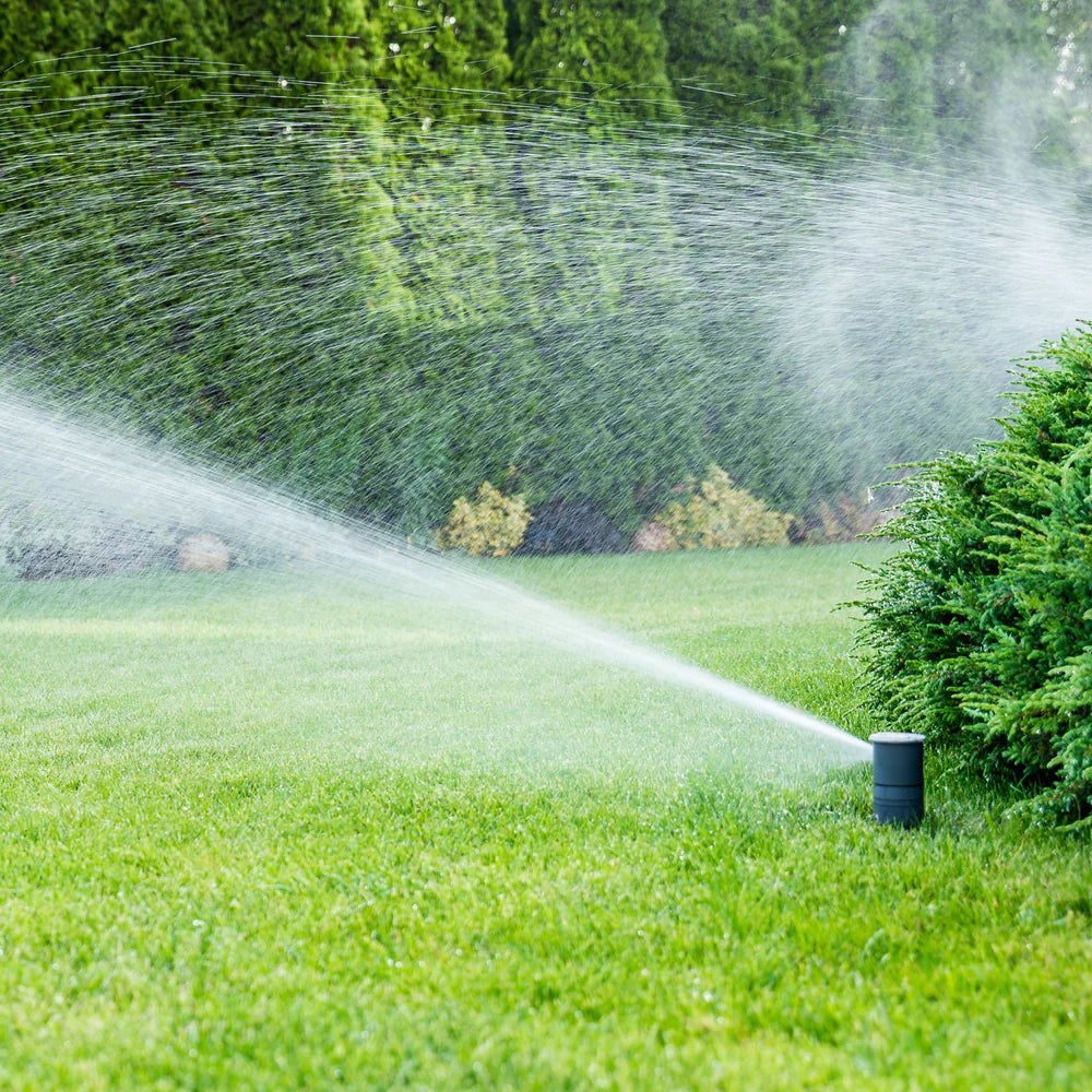 Irrigation Maintenance Services Fall
