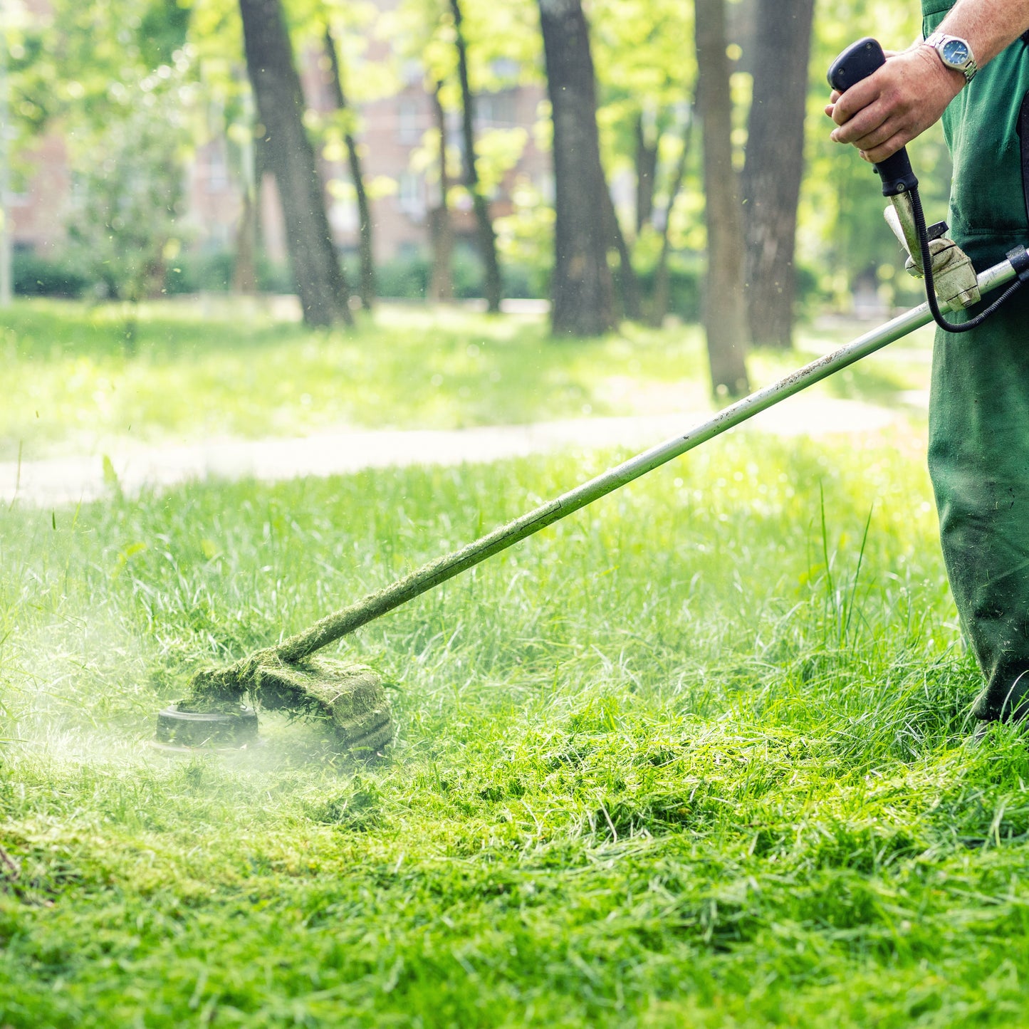 Spring Clean Up Services